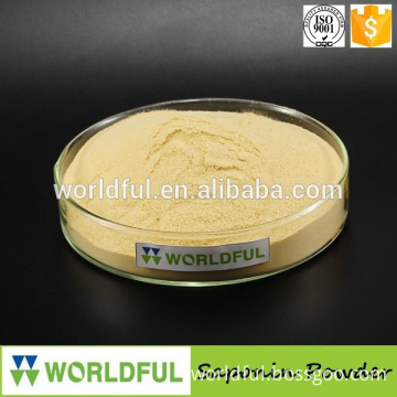 best price Organic saponin powder,Tea saponin powder 60%, Agriculture and Aquaculture